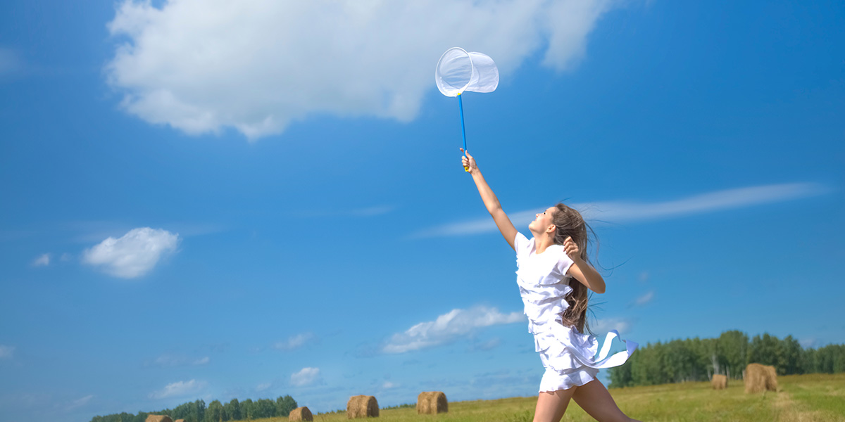 Dai Forconi… alle farfalle, il passo è breve